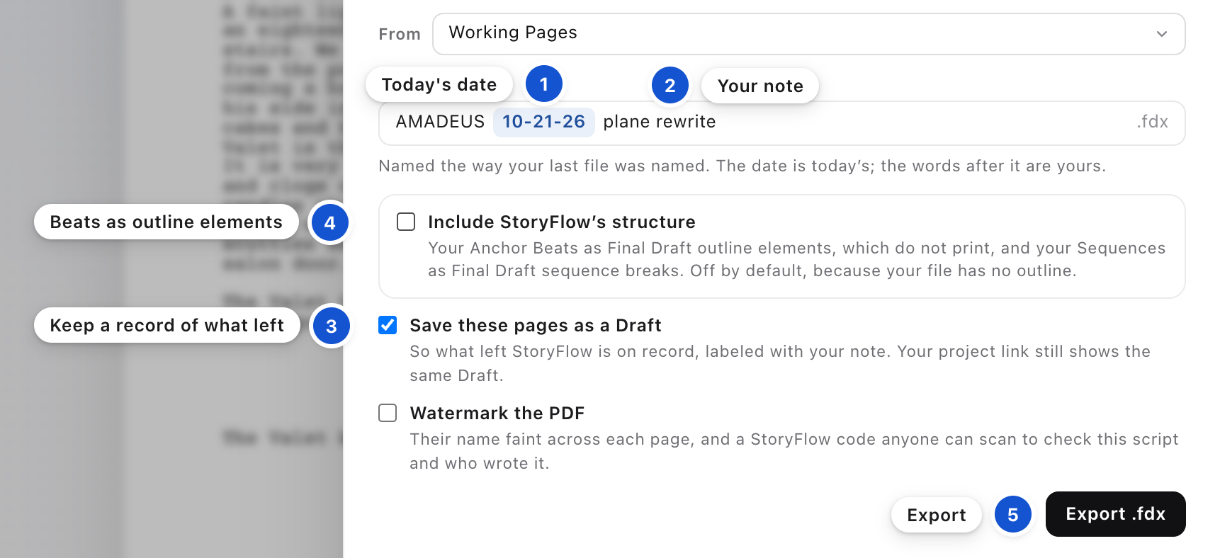 The file name, the boxes and Export .fdx